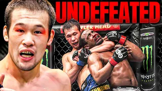 Top 8 Undefeated Fighters in the UFC Now