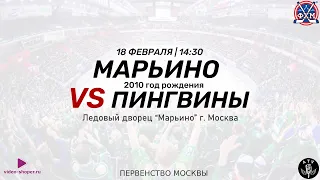 ХК МАРЬИНО 2010 - ХК ПИНГВИНЫ 2010