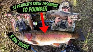 Massive Rainbow Trout and Big Brown Trout Tasmania II St Patricks River