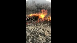 Десятки дач сгорели в Дальнегорске в районе Садового 9.03.2019