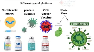 Types of coronavirus vaccines - 4 types - production, differences, side effects- explainer video