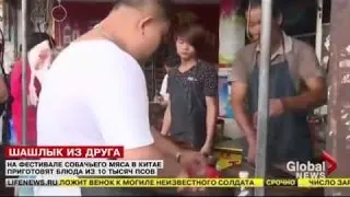 Шок! В Китае праздник собачьего мяса  10 тыс собак станут жертвами праздника  25 06 2015