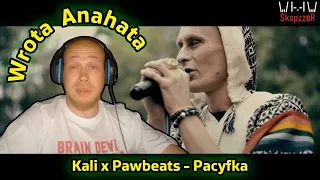 Metal słucha rapu #33 - KALI x Pawbeats - Pacyfka - Reakcja.