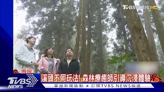 溪頭不同玩法! 森林療癒師引導沉浸體驗｜TVBS新聞@TVBSNEWS01