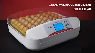 Инкубатор автоматический SITITEK 40