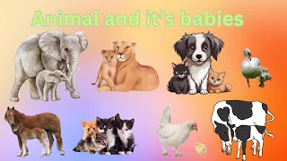 Animals and its babies, Lion cub,Kids Learning, kids knowledge, improve learning, Kutty boy Kittu,