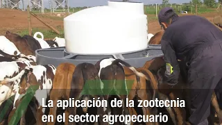 La aplicación de la zootecnia en el sector agropecuario - TvAgro por Juan Gonzalo Angel Restrepo