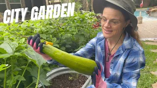 First Harvest from the Backyard Garden | Houston Texas, Spring 2024
