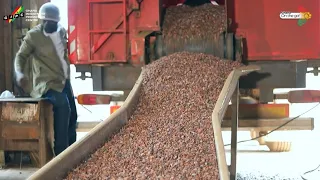 Meet one of the Most Thriving Cocoa Processing Industry in GHANA 🇬🇭 | Plot Enterprise Ltd