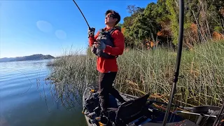 Summer Bass Fishing on Clear Lake, CA (2023)