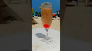 All Inclusive Drinks at Riu Palace Resort in Punta Cana