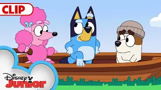 Bluey Season 3 Episode 15 "Explorer" Episode Clip | @disneyjunior  | @BlueyOfficialChannel