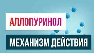 Аллопуринол, механизм действия. Как работают ингибиторы ксантиноксидазы. Лечение подагры