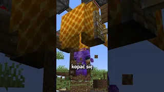 NAJLEPSZA PUŁAPKA w MINECRAFT!