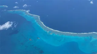 Wettie TV | SPEARFISHING Worlds largest LAGOON | New Caledonia Part One