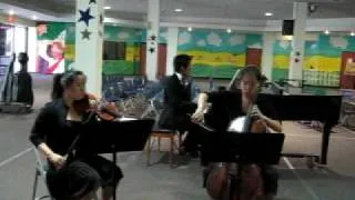 Mendelssohn Trio in D Minor Op.49