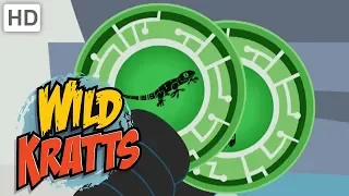 Wild Kratts 🦎 Activate Reptile Creature Power!