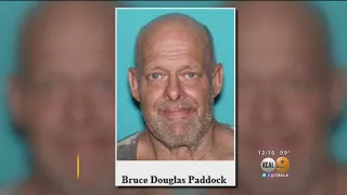 Bruce Paddock, Brother Of Vegas Shooter, Arrested For Child Porn