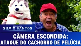 Câmera Escondida (02/10/16) - Ataque do cachorro de pelúcia