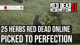 Picked to Perfection Trophy (Pick 25 Herbs) - Red Dead Online - Read Dead Redemption 2