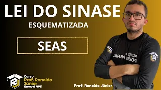 LEI 12594/2012 - SINASE - SEAS/ Prof. Ronaldo Júnior