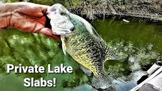 Fishing a PRIVATE LAKE For SLAB CRAPPIES (1+ Pound Slabs!)