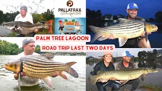 Fishing in Thailand - The Overrated Anglers - Road Trip Oct 2022 - Last 2 days at Palm Tree Lagoon
