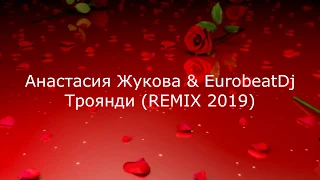 Анастасия Жукова & EurobeatDj - Троянди REMIX 2019