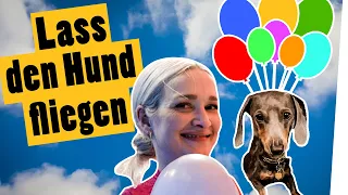 Lass den Hund fliegen! Mit Heliumballons nach OBEN! | Challenge || Das schaffst du nie!