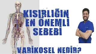 Varikosel Nedir ve Neden Olur ?