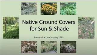 Native Ground Covers for Sun and Shade, 2020
