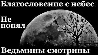 Истории на ночь (3в1): 1.Благословение с небес, 2.Не понял, 3.Ведьмины смотрины