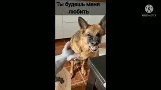 Ты будешь меня любить???