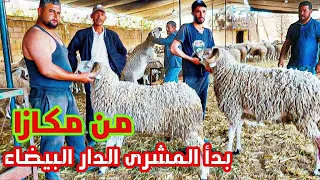 من مكازا تمن الحولي من عند الشرقي لمزابي  2 مارس الدار البيضاء عيد الأضحى