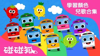 學習顏色兒歌合集 | 和鯊魚寶寶一起學顏色 | 《Colorful Fruits》+更多精選兒歌 | 碰碰狐PINKFONG