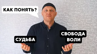 Что такое Предопределение и Свобода Воли человека? | #судьба #ислам #религия #коран #саморазвитие