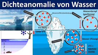 Dichteanomalie des Wassers [ Bedeutung für das Leben im See] - [Biologie, Mittel- und Oberstufe]