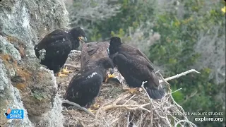 Record Number of 🐟 in a Day? - West End Eagles Thunder, Akecheta, Koa, Treasure & Sterling (5/3-5/4)