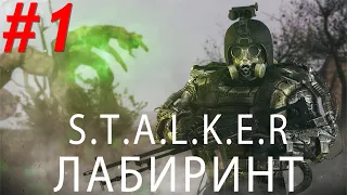 S.T.A.L.K.E.R. ЛАБИРИНТ Сейф Наёмников #1