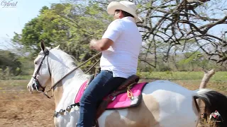 VILLAMIL TORRES - ASÍ SE COLEA EN MI TIERRA