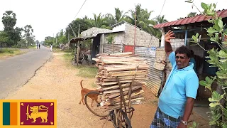 Ride from Trincomalee to Kanniya Hot Water Springs Sri Lanka