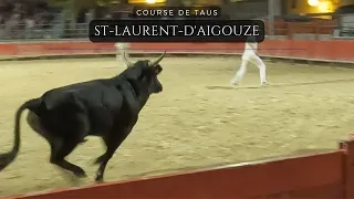 Course camarguaise (taus) St-Laurent-d'Aigouze  9/08/22