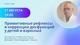 Примитивные рефлексы в практике прикладного кинезиолога. Прямой эфир с В.А. Занько