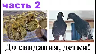 ДО СВИДАНИЯ, ДЕТКИ! (часть 2)