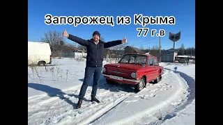 Мы купили ЗАЗ 968А 1977г.в.