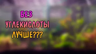 АКВАРИУМ БЕЗ СО2 И С СО2. НЕОЖИДАННЫЕ ИТОГИ.  СРАВНИЩЕ