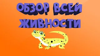 Обзор всех колоний и не только...