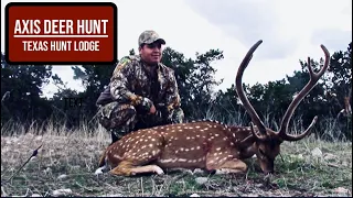 Texas Axis Deer Hunt at Texas Hunt Lodge - Texas Exotic Hunting