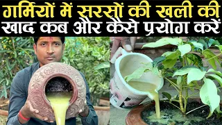 गर्मियों में सरसों की खली की खाद कब और कैसे प्रयोग करें | Use of Mustard Cake Fertilizer In Summer