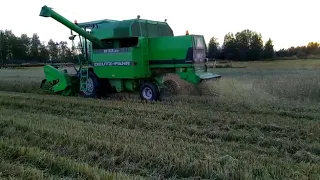 Wheat harvesting 2020/vehnän puintia